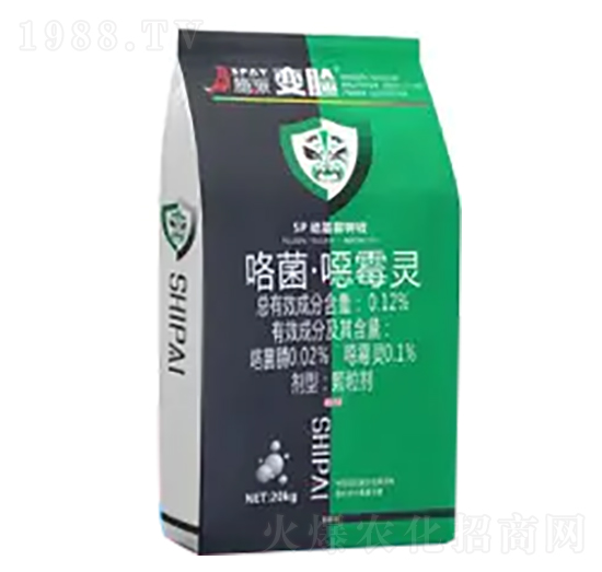 �ߵ���ʩ��׃Ę-ʩ������