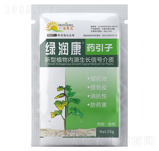 ˎ����-�G����-���ַ�