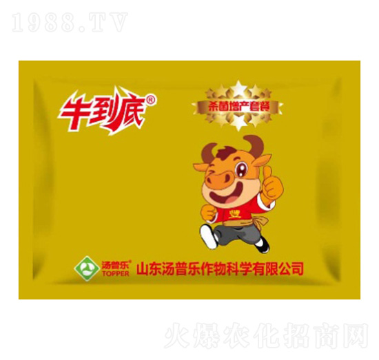 �������a(ch��n)�ײ�-ţ����-���՘�(l��)