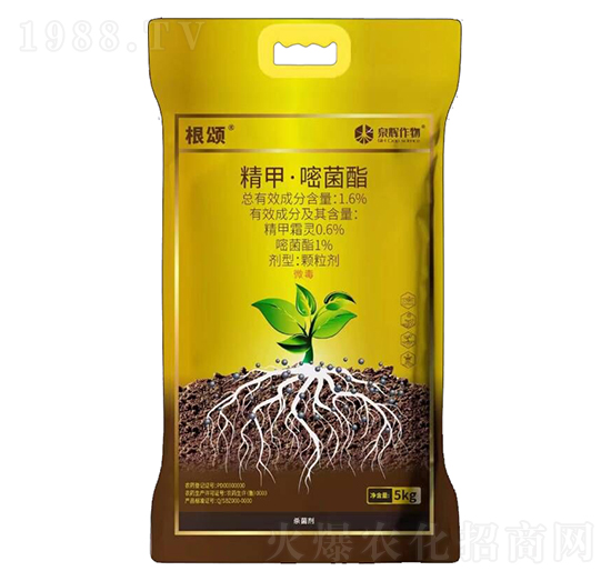 1.6%���ס��׾���-���-Ȫ�x����