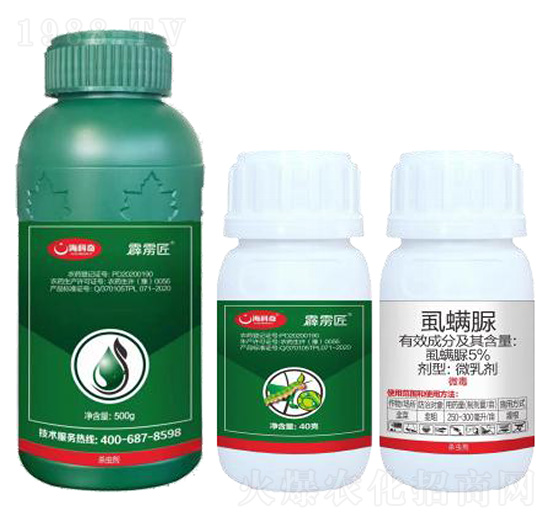 5%ʭ����-���Z��-������