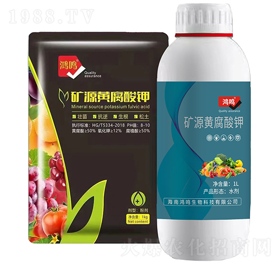 �VԴ�S�����-���Q