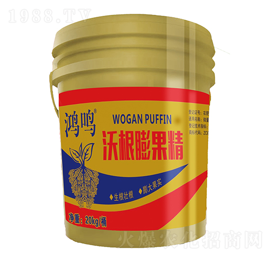 �ָ������-���Q