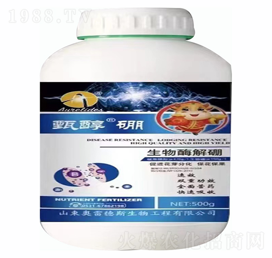 �紼��-�W�׵�˹