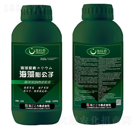 海藻膨公子-?？破? style=