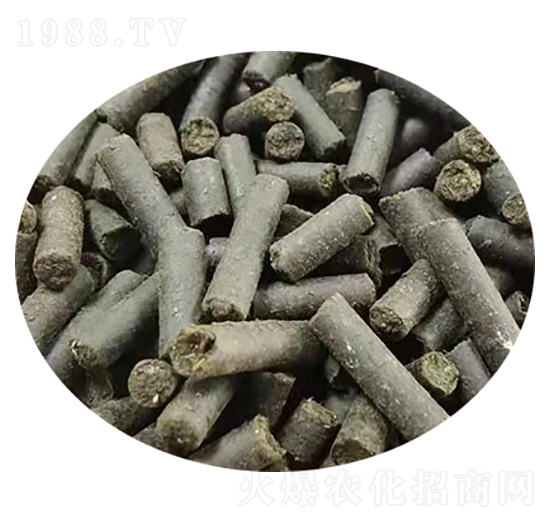 �ЙC����-�ݺ̉�����