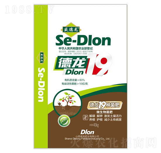 ����19�N΢�������-������-�����ʘI(y��)