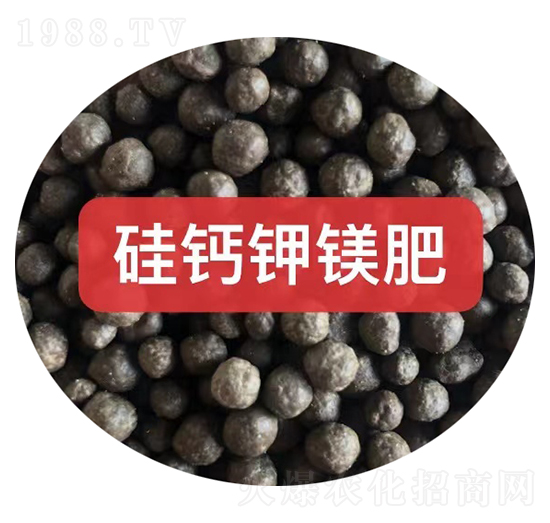 ���}��V���w��-���r(n��ng)�r(n��ng)�Y