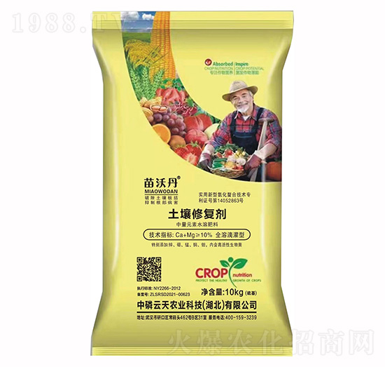 �����ޏ̈́�-���ֵ�-��������