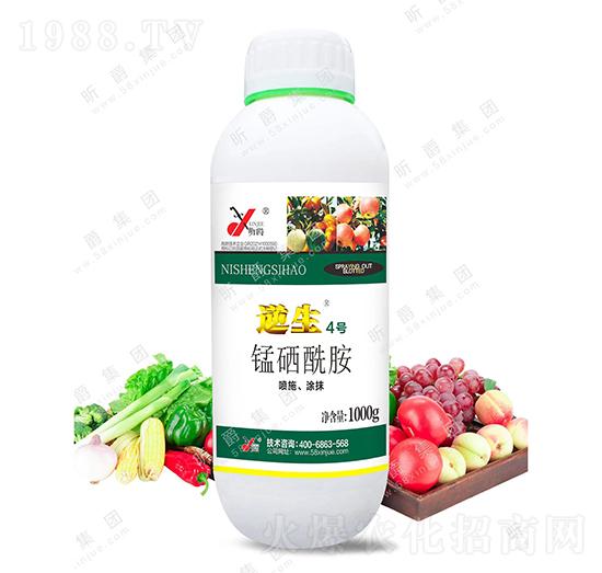 �i������-����4̖-꿾�