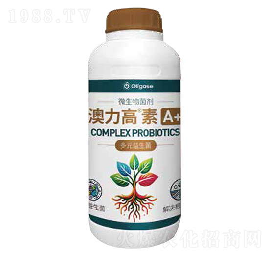 ΢�������-��������A+-������