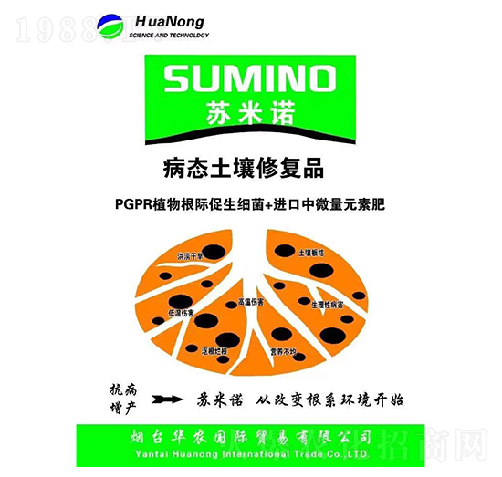 �K���Z���B(t��i)�����ޏ�(f��)-�A�r(n��ng)���H