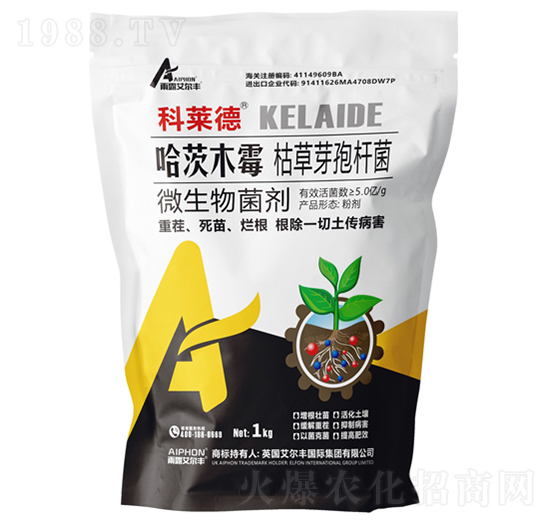 ����ľù���ݲ�ѿ�ߗU��-���R��-��¶�����S