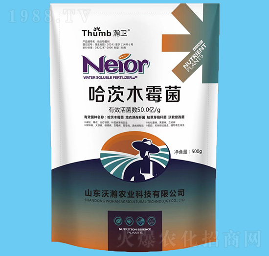 ����ľù����50�|�����-��l(w��i)-����r�I(y��)