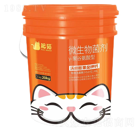 ��-�۹Ȱ�����΢�������-��؈