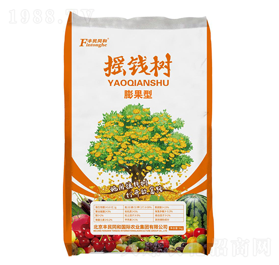 �u�X�������-�͝��r�I(y��)