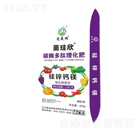 �w����΢�������-������-������