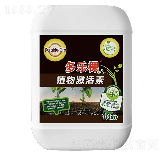 ֲ�Ｄ����-������