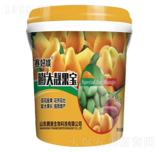 ����n����-�v������