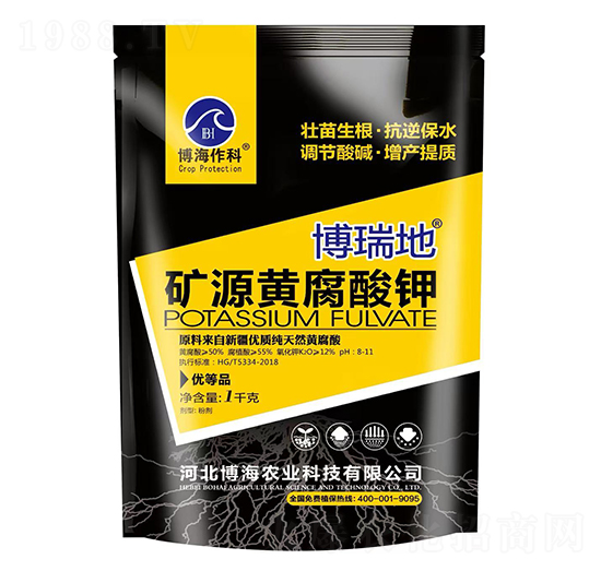 �VԴ�S�����-�����-��������