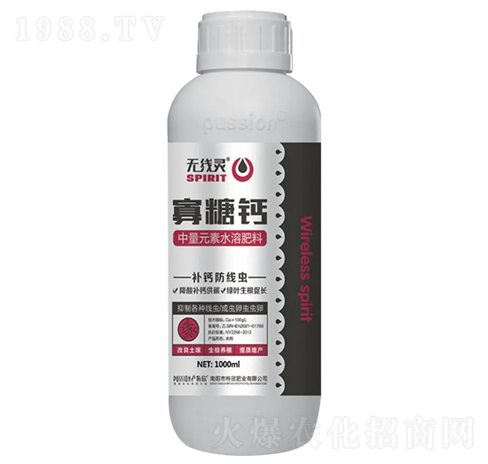 �����}-�o(w��)���`-�����ʘI(y��)