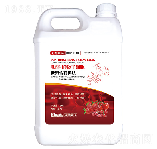 ��ø��ֲ��ɼ�(x��)��-����ź�