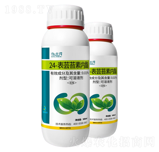 0.01%24-���|̦�؃�(n��i)��-���A��