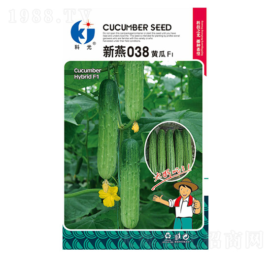 ����038-�ƹ�N��