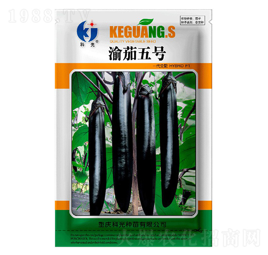 ����5̖(h��o)-�ƹ�N��