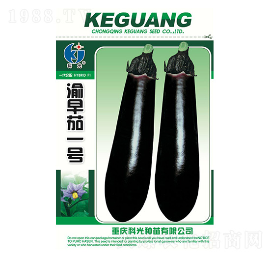 渝早茄1號(hào)-科光種苗