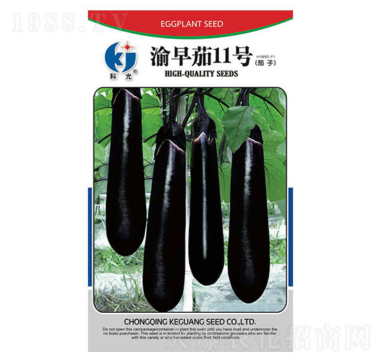 ����12̖-�ƹ�N��