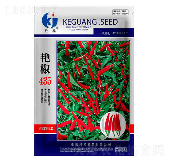 艷椒435-科光種苗