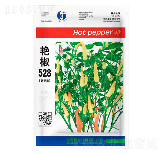 �G��528-�ƹ�N��