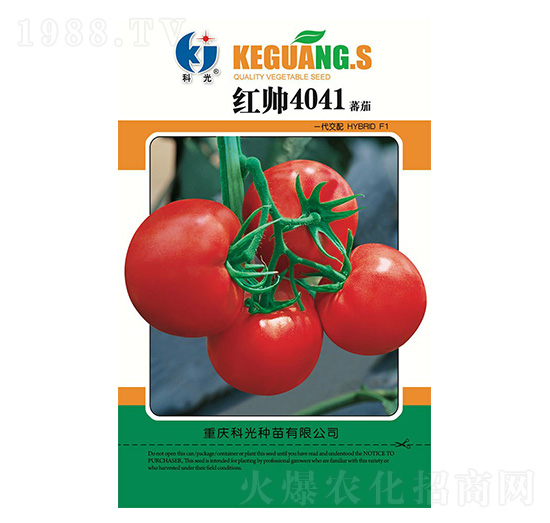 �t��4041-�ƹ�N��