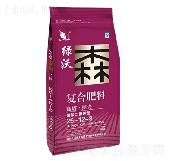 ���������͏�(f��)�Ϸ���25-12-8-�G��ɭ