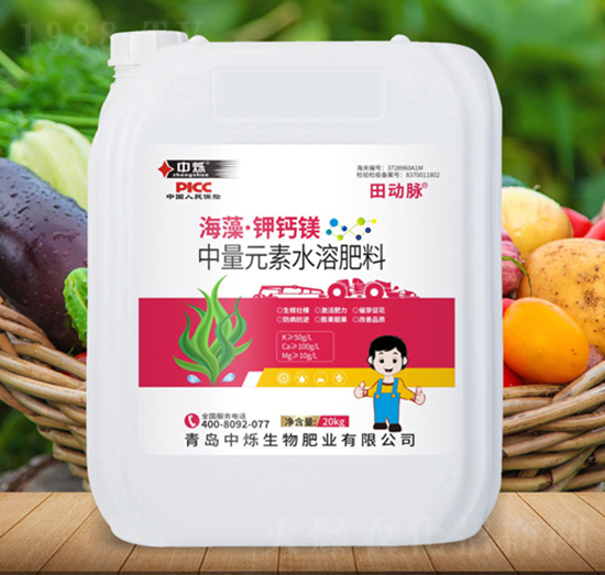 ���塤��}�V-���(d��ng)�}-�Рq����