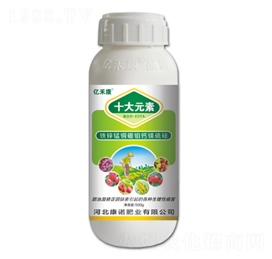 �F�\�i�~���f�}�V���-ʮ��Ԫ��-�|�̿�-���Z�ʘI(y��)