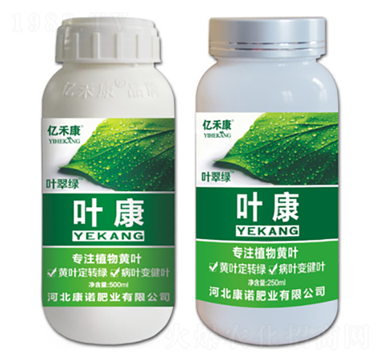 ��עֲ���S�~-�~��-���Z�ʘI(y��)