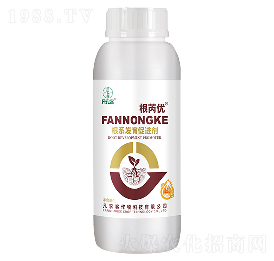 ��ϵ�l(f��)�����M��-���ǃ�(y��u)-���r(n��ng)��