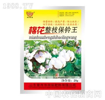 ����-�޻���֦�����