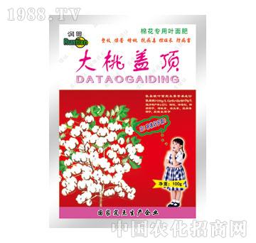 ��(r��n)��-�����w�