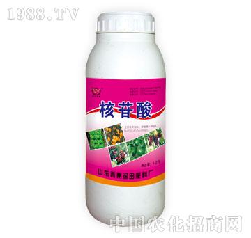 ����-������1����