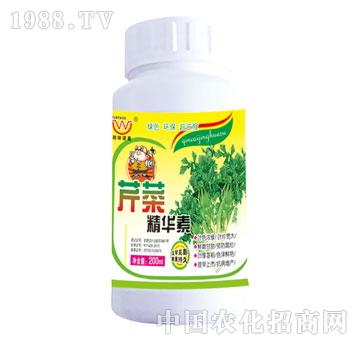 ����-�۲˾��A��