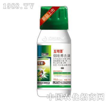 24%����ݬȥ��-�����