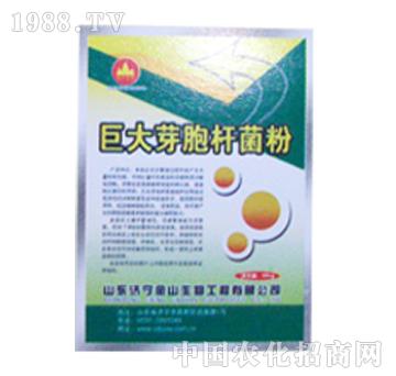 ��ɽ����-�޴�ѿ���U����