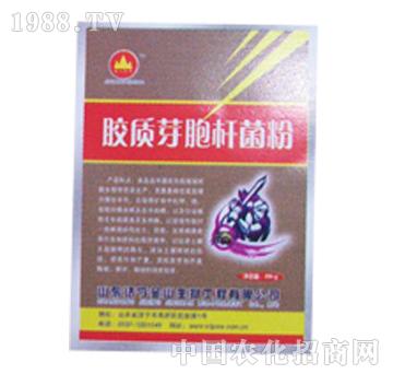 ��ɽ����-�z�|(zh��)ѿ���U����