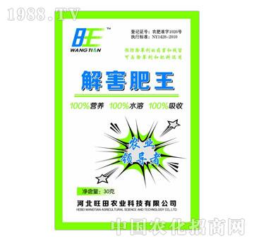 �����r(n��ng)�I(y��)-�⺦����