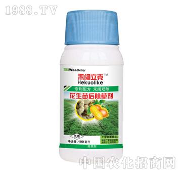 �������-̩�(y��ng)