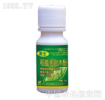 ��������(chu��ng)ľ��-��(f��)��-˼�h(yu��n)����