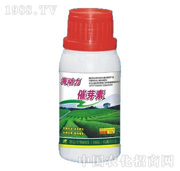 ��ѿ��-������-˼�h(yu��n)��